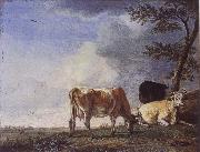 POTTER, Paulus Three Cows in a Pasture oil on canvas
